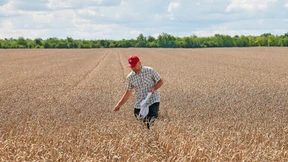 Wenn Brüssel die Sense ansetzt