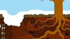 Schwarzer Eifel-Diamant