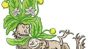 Alraunphorer Wunschpunsch