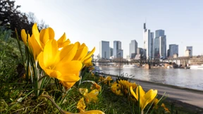 Mit der Sonne kommt das Leben zurück