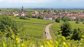 Trump in Kallstadt – „Ist dem das nicht zu provinziell hier?“