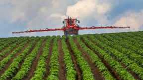 Vergifteter Streit ums Glyphosat