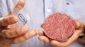 USA genehmigen Verkauf von Labor-Fleisch