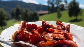 Mülltrennung, Unterdrückung und Widerstand