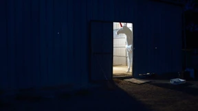 Die fabelhafte Welt der Einhörner