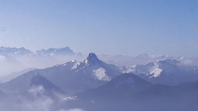 Die Früchte des Zorns im Donaumoos