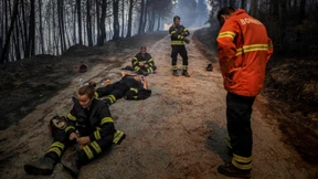 Waldbrände zerstören tausende Hektar Vegetation
