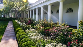 Bloß ein Rechteck aus Gras