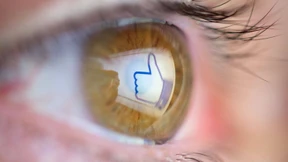 Schikane im Internet