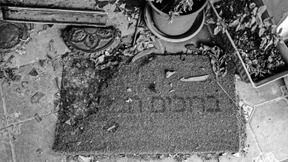 Israel in Frage gestellt