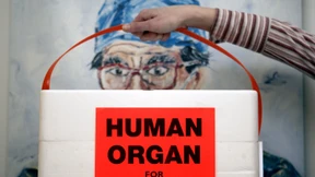 Nehmt die Transplanteure an die Kandare! 