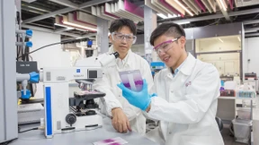 Das „Singapur-Modell“