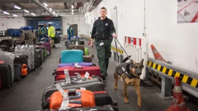 Versteckt in Überraschungseiern und Kokosfett