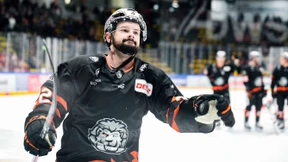 Kader der Löwen nimmt Form an