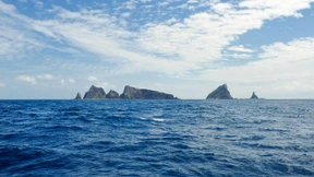 Ziegen, die auf Inseln starren