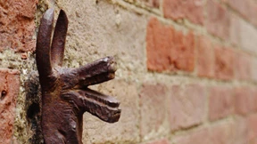 Mit dem Rückgrat einer Qualle