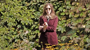 „Trumps Politik ist draufgängerisch und dumm“