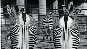 Auf der Suche nach der verlorenen Generation