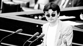 Die gebändigten Rebellen