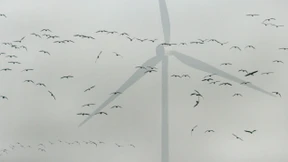 Platzgefahr in der Nähe von Windrädern