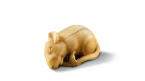 Ratten in glänzendem Elfenbein