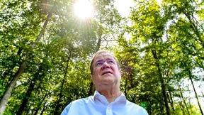 Warum der Wald stirbt