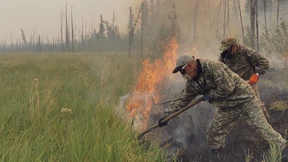 Hunderte Einsatzkräfte kämpfen gegen Flammen