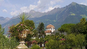 TMT: Knubbelknie und fette Beine