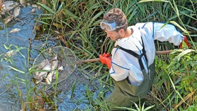 Umweltminister Vogel fordert neuen Alarmplan für die Oder
