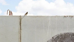 Der Tiefbauingenieur