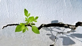 Wie werde ich gut mit einer Kündigung fertig?