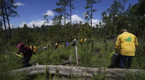 Neue Lösungen für Treibhausgaseinsparungen
