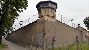 Warum sollten wir gratis reden?