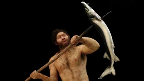 Wie Frühmenschen und Orang-Utans sich ernährten