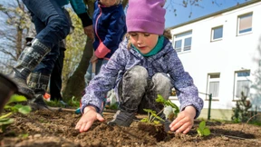 Gartenarbeit schützt vor Einsamkeit