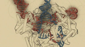 Die Menschenversuche des Dr. He Jiankui