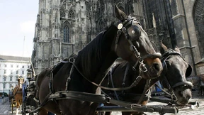 Wiener Börse haussiert – und blutet aus 