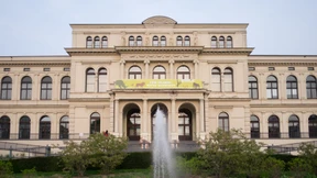 Im Zeichen des Flamingos