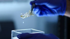 Durchsichtige Organe aus dem 3D-Drucker