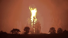 Schon wieder ein Feuersommer