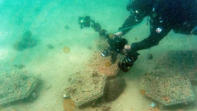 Korallenriffe aus dem 3D-Drucker