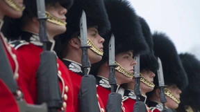 Schutzzäune für britische Palastwachen