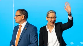 Das leichte Spiel der AfD