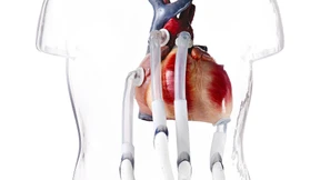 Sie retten das Leben von Kindern