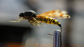 Ködern als schöne Kunst betrachtet