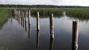 Heimat verloren – und gefunden