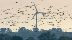 Mit der Windkraft schneller zum Ziel