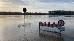 Nach neuen Höchstwerten fallen die Pegelstände