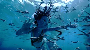 Eine gemischte Bilanz