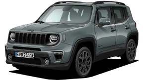 Willys kleiner Enkel